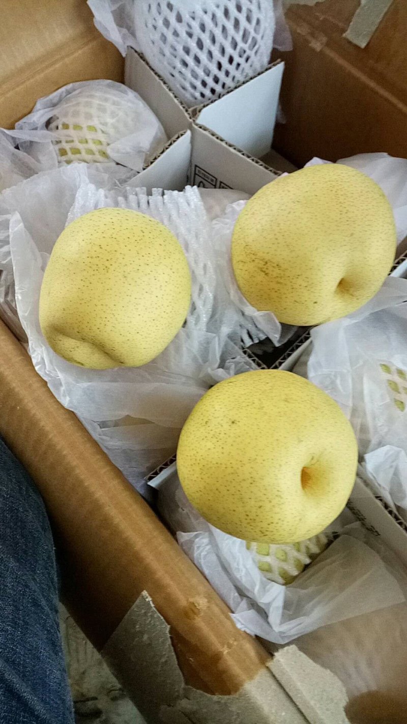 雪花梨大量货源质量很不错