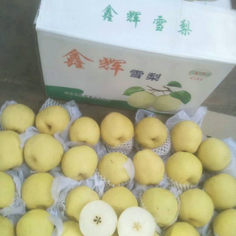 雪花梨大量货源质量很不错