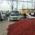 河南开封干辣椒总产区，原产地供货，代发全国各地商超。