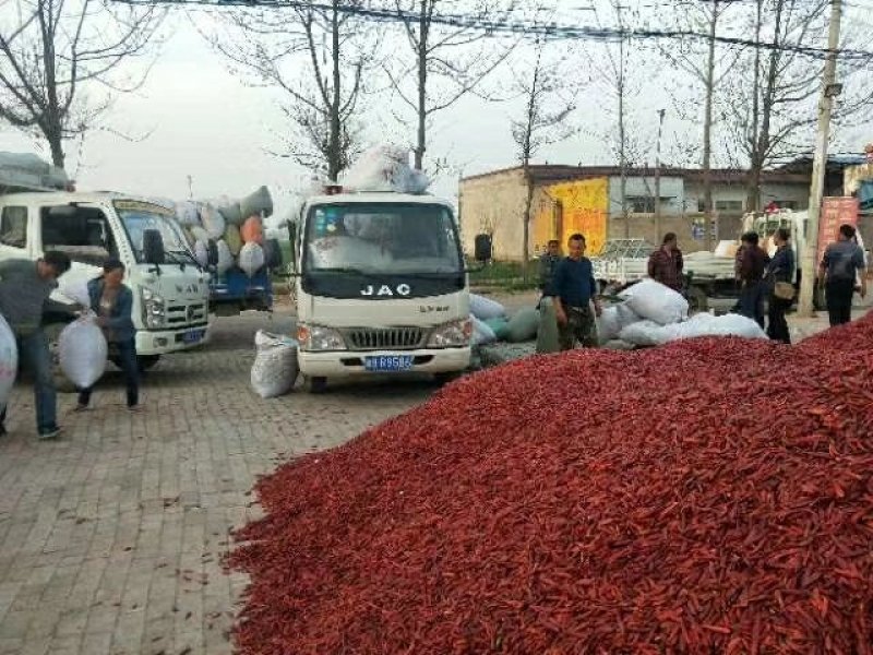 河南开封干辣椒总产区，原产地供货，代发全国各地商超。