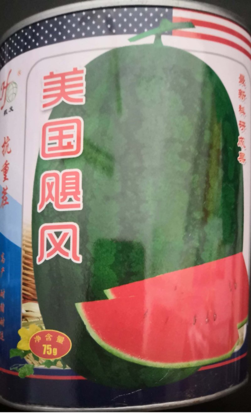 美国飓风西瓜种子抗病抗重茬丰产耐运输