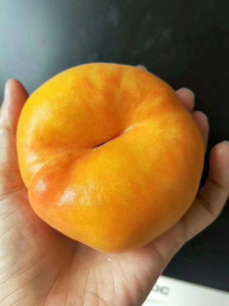 桃树苗