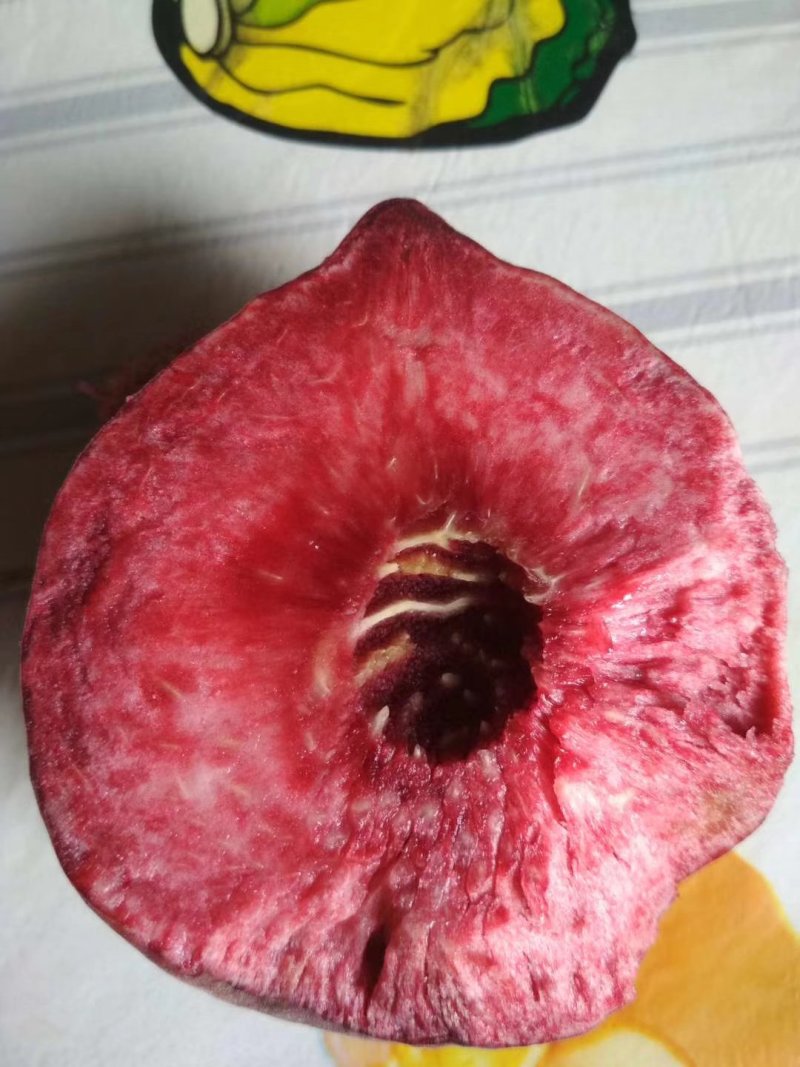 桃树苗