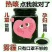 砀山酥梨膏