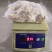 火锅用三去八爪鱼20-40