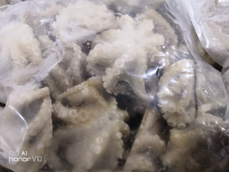 火锅用三去八爪鱼20-40