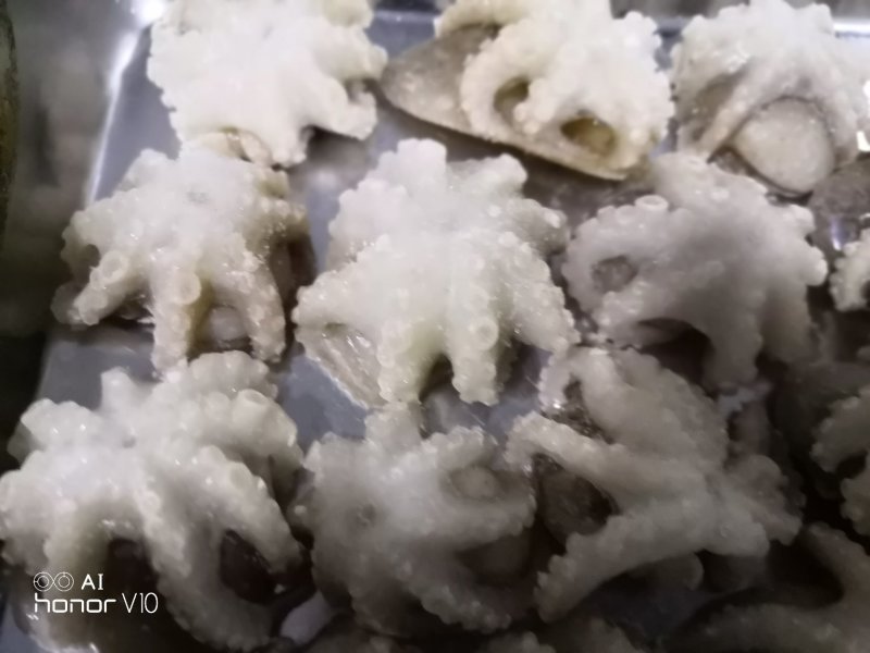 迷你八爪鱼10-20