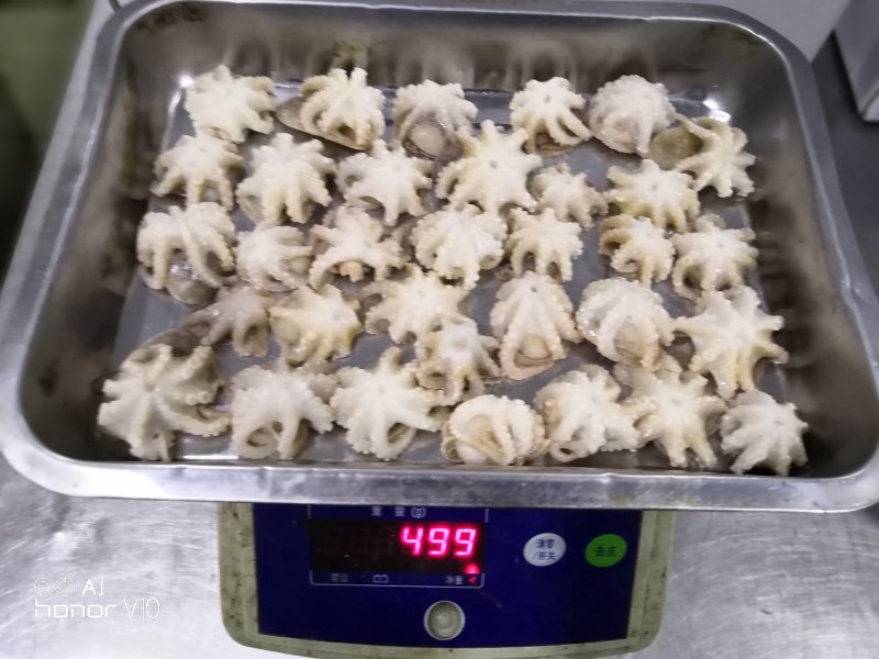 迷你八爪鱼10-20