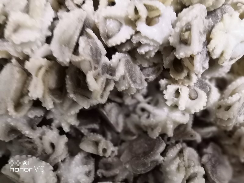 迷你八爪鱼10-20