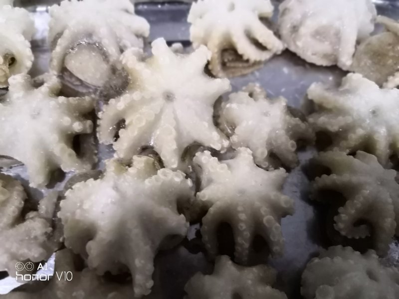 迷你八爪鱼10-20