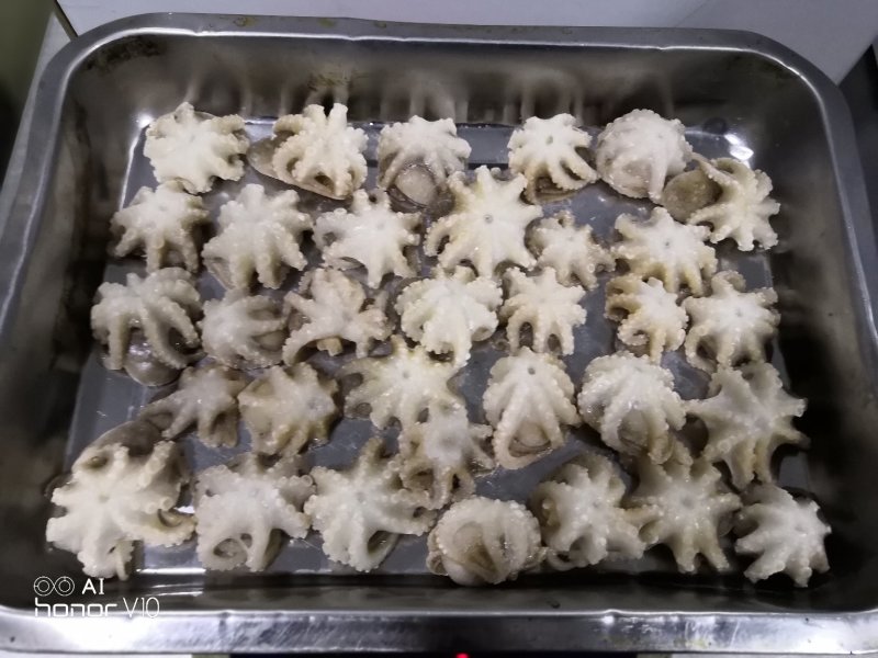 迷你八爪鱼10-20