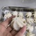 火锅用三去八爪鱼20-40