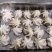 火锅用三去八爪鱼20-40