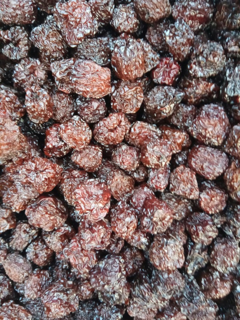 茌平特产乌枣，黑枣，又名焦枣，熏枣
