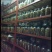 蜜环菌种厂家直销天麻猪苓种植专用蜜环菌
