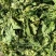 桑叶霜后桑叶。产地直销一手货源。符合国家标准