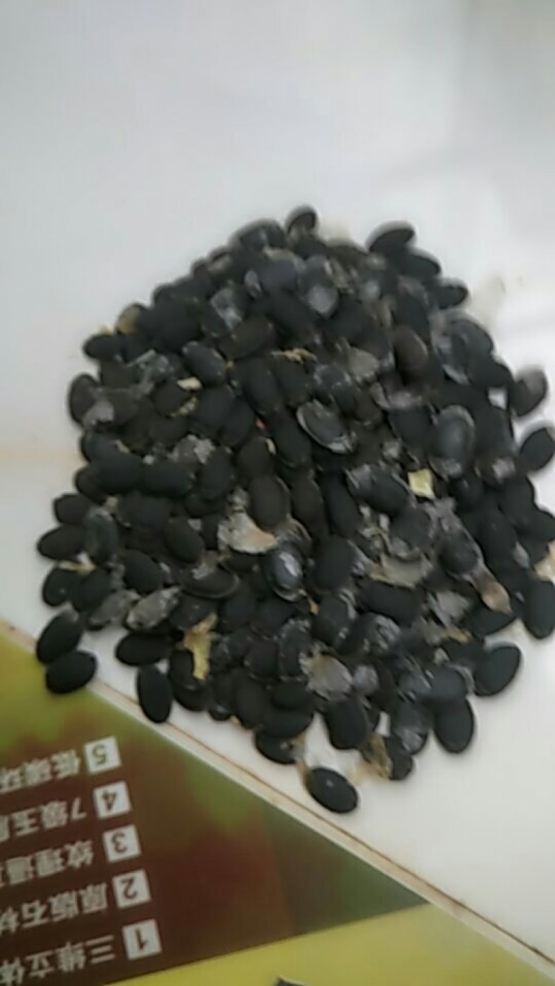 丝瓜种子