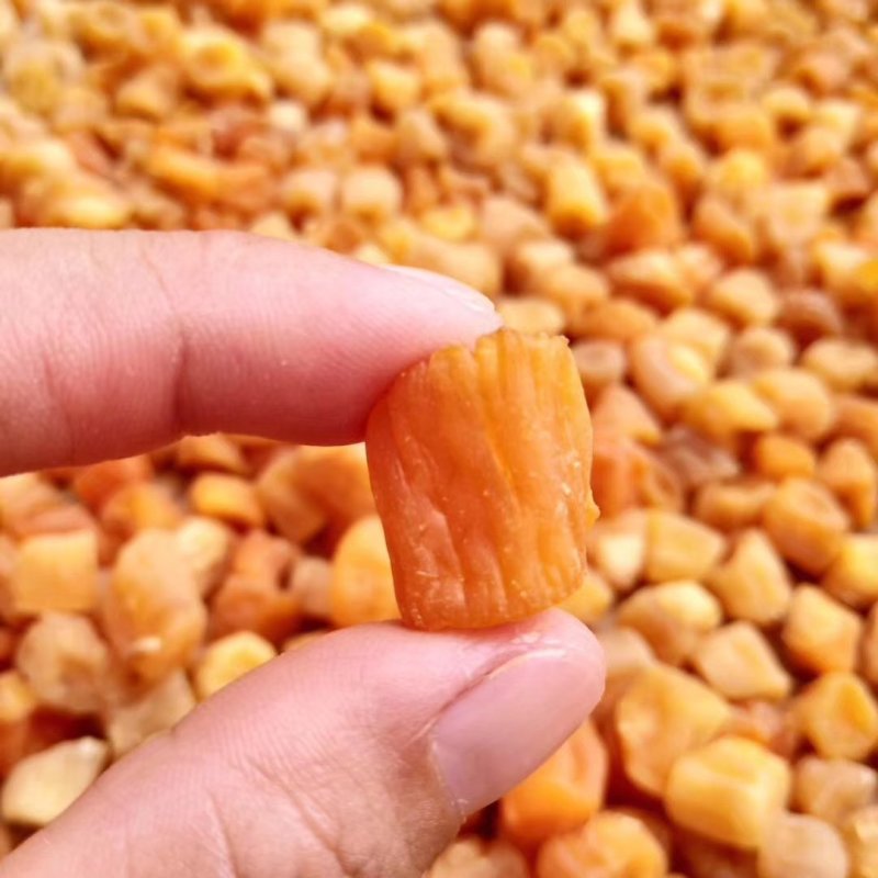 硇洲瑶柱