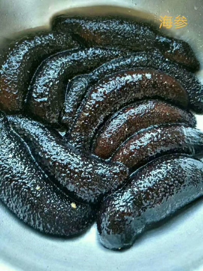 硇洲海参