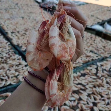 硇洲天然大明虾干