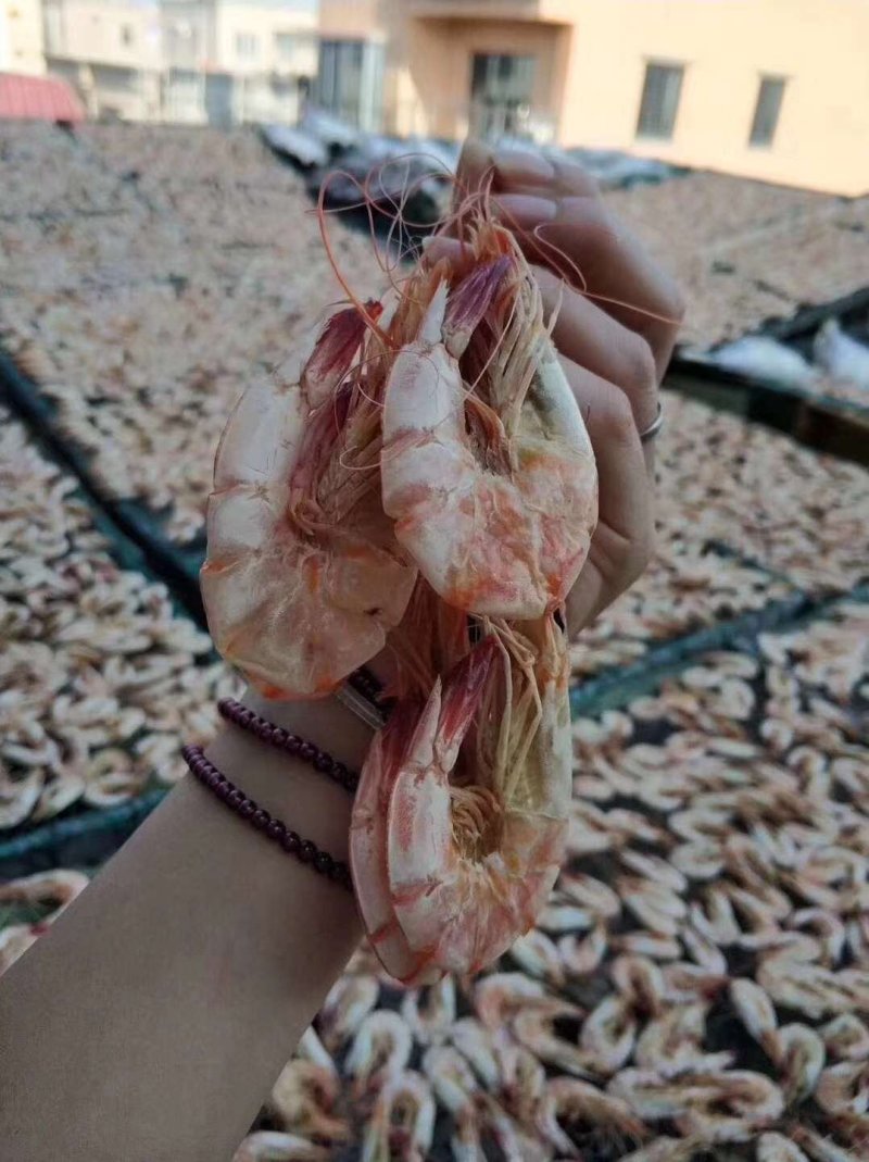 硇洲天然大明虾干
