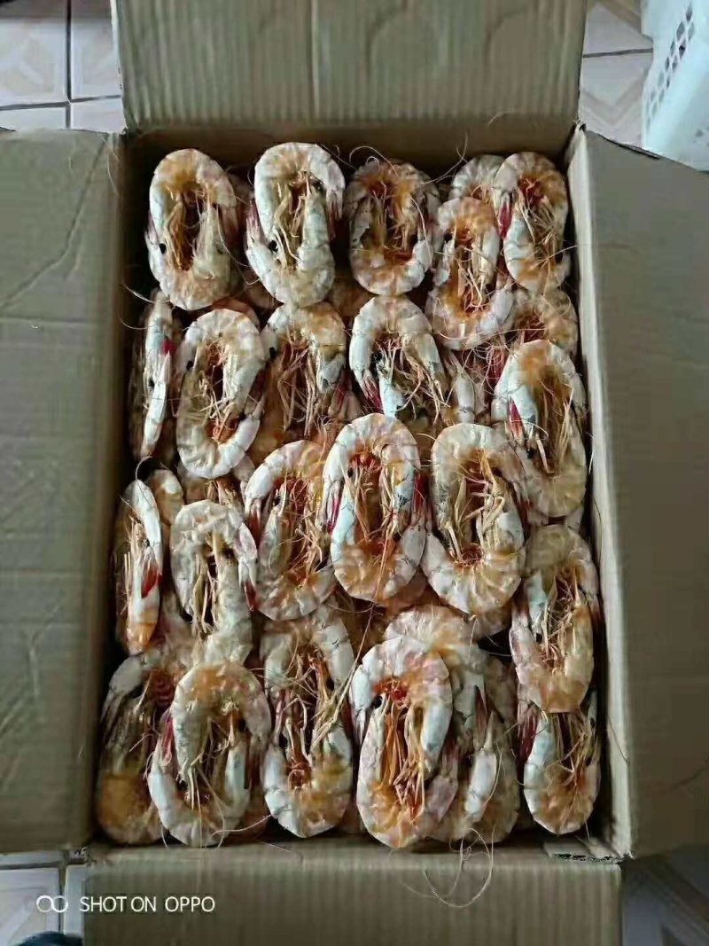 硇洲天然大明虾干