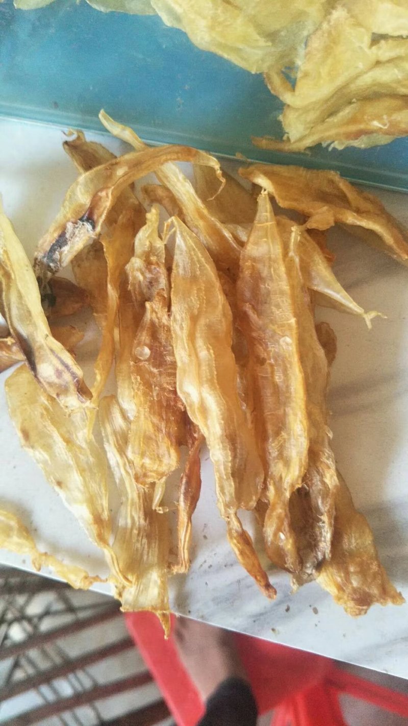 硇洲鱼胶