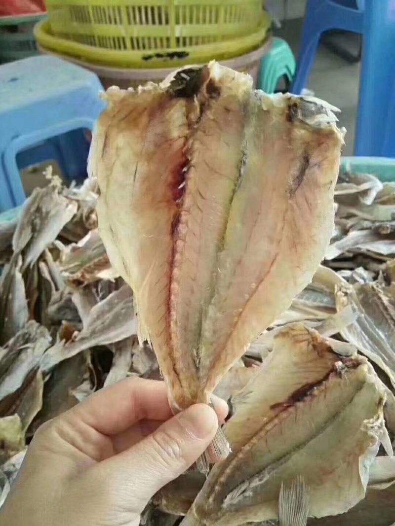 硇洲金昌鱼干，石头鱼鱼干