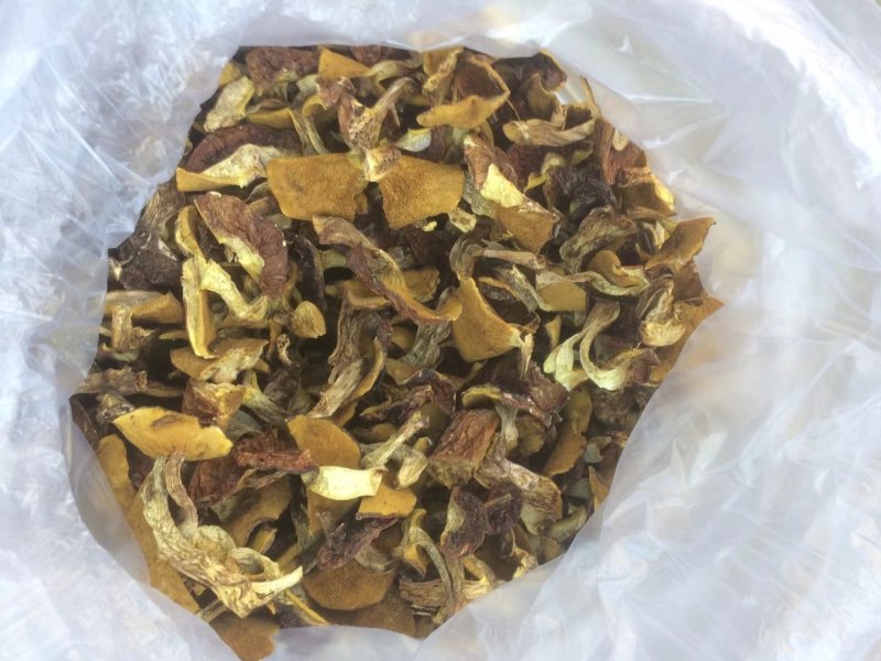 供承德绿色野生蘑菇
