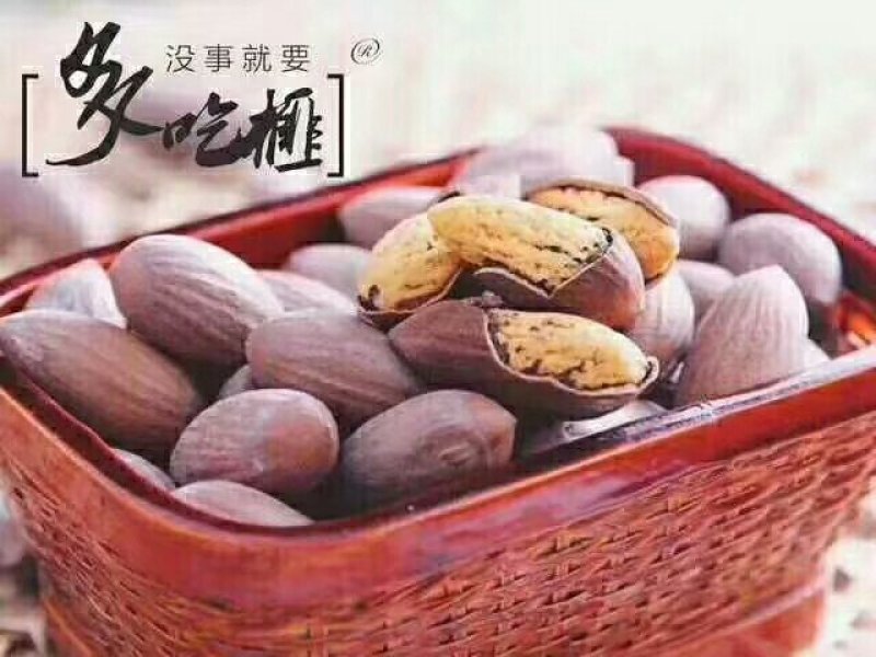 香榧