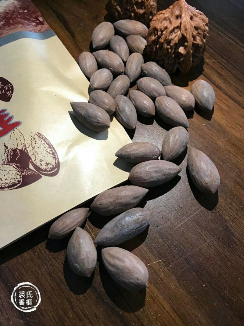 香榧