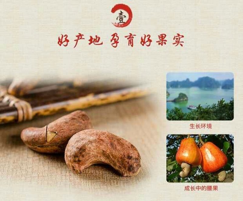 带衣腰果