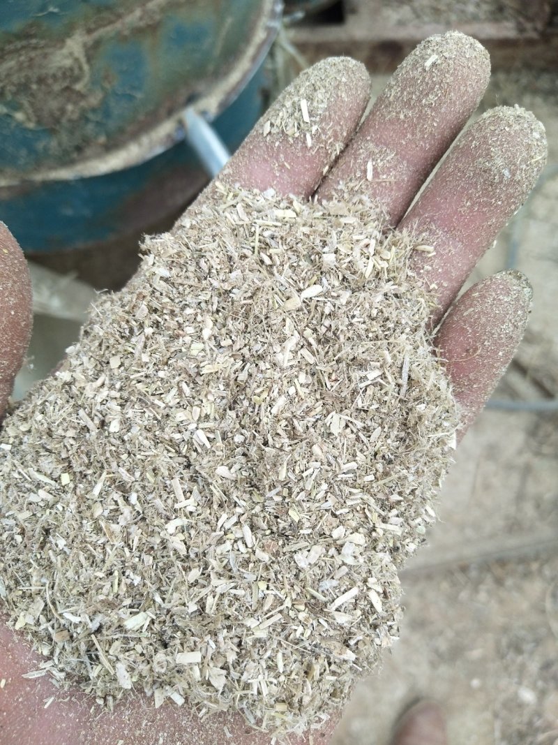 花生秧草料河南花生秧，牛羊草饲料