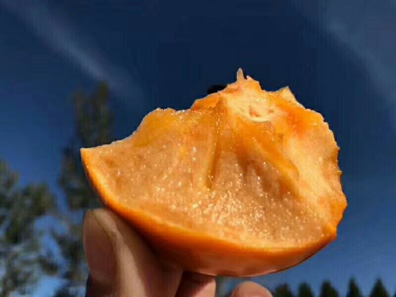 70起步上不封顶！脆甜可口