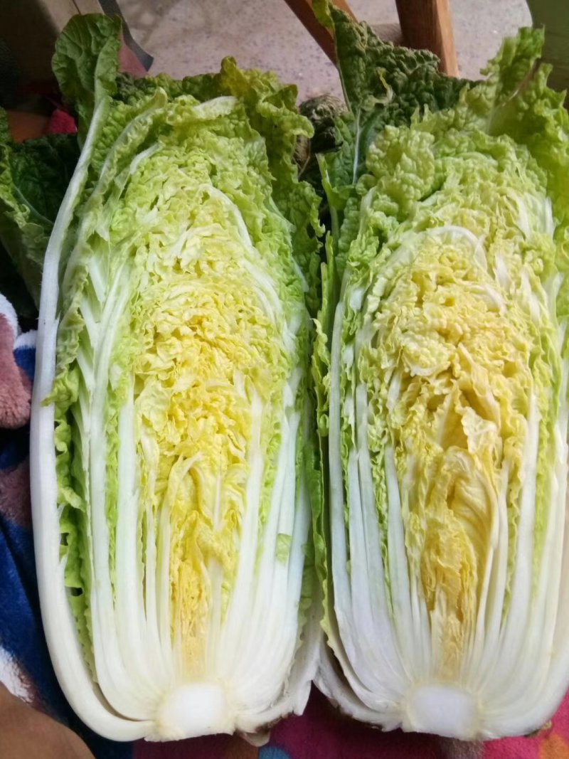娃娃菜