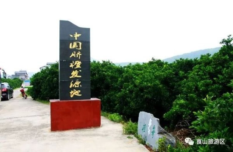 崀山高山脐橙，原汁原味