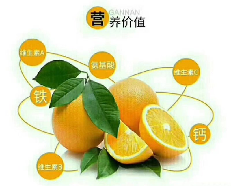 崀山高山脐橙，原汁原味
