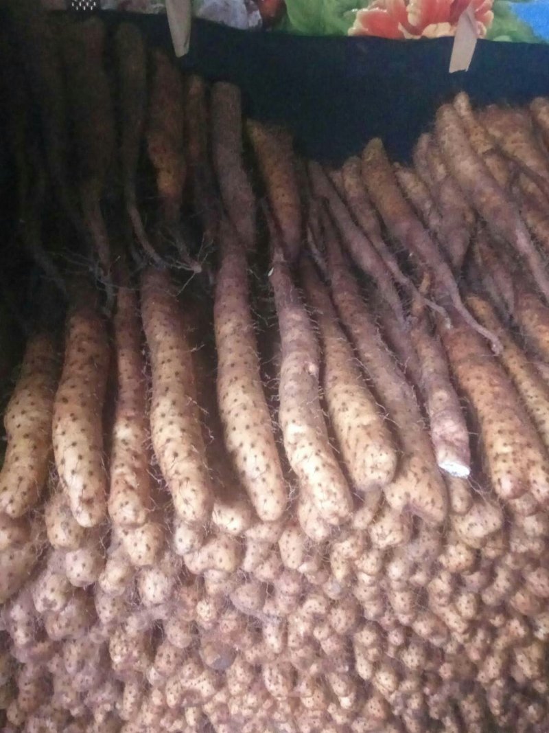 【精品】平度山药大量供应有货有货产地直供量大从优