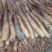 【精品】平度山药大量供应有货有货产地直供量大从优