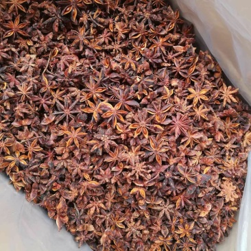 广西秋大科烫水果去把大红八角!