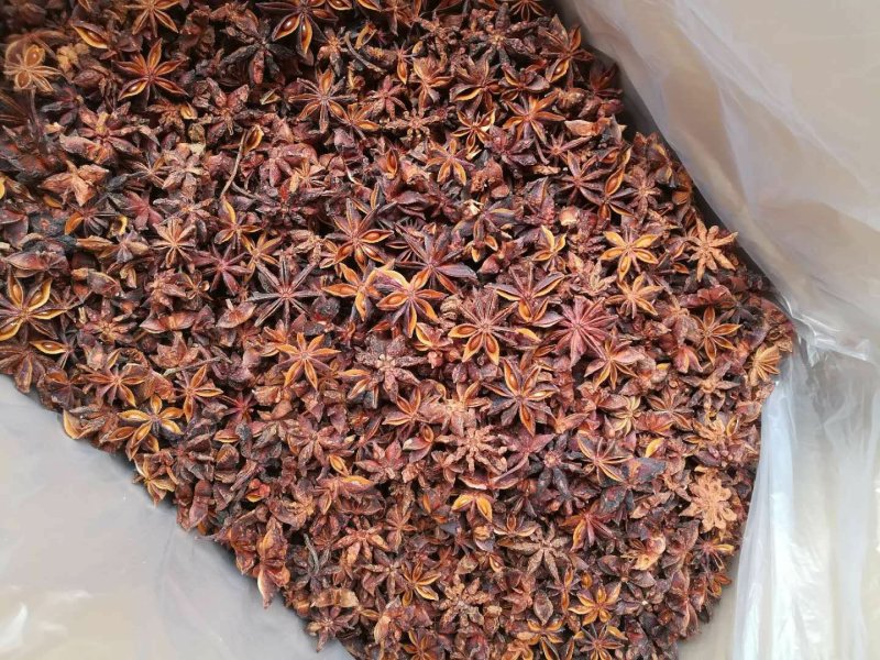 广西秋大科烫水果去把大红八角！