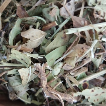 花生秧羊草细粉，1-3公分草段