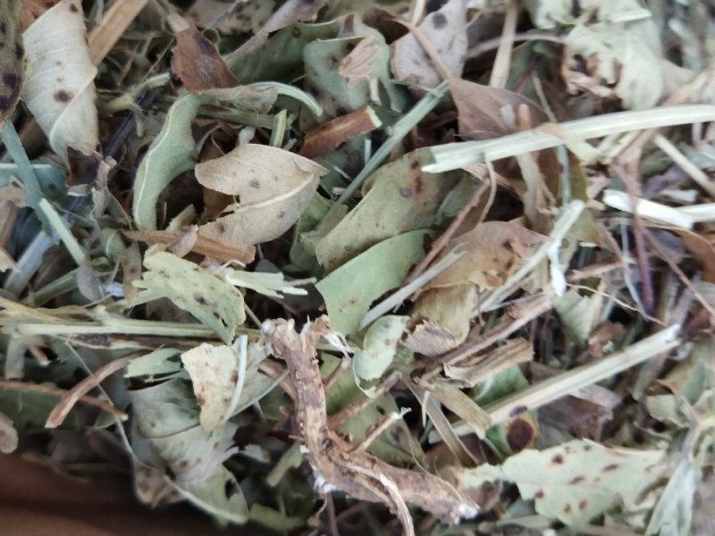 花生秧羊草细粉，1-3公分草段