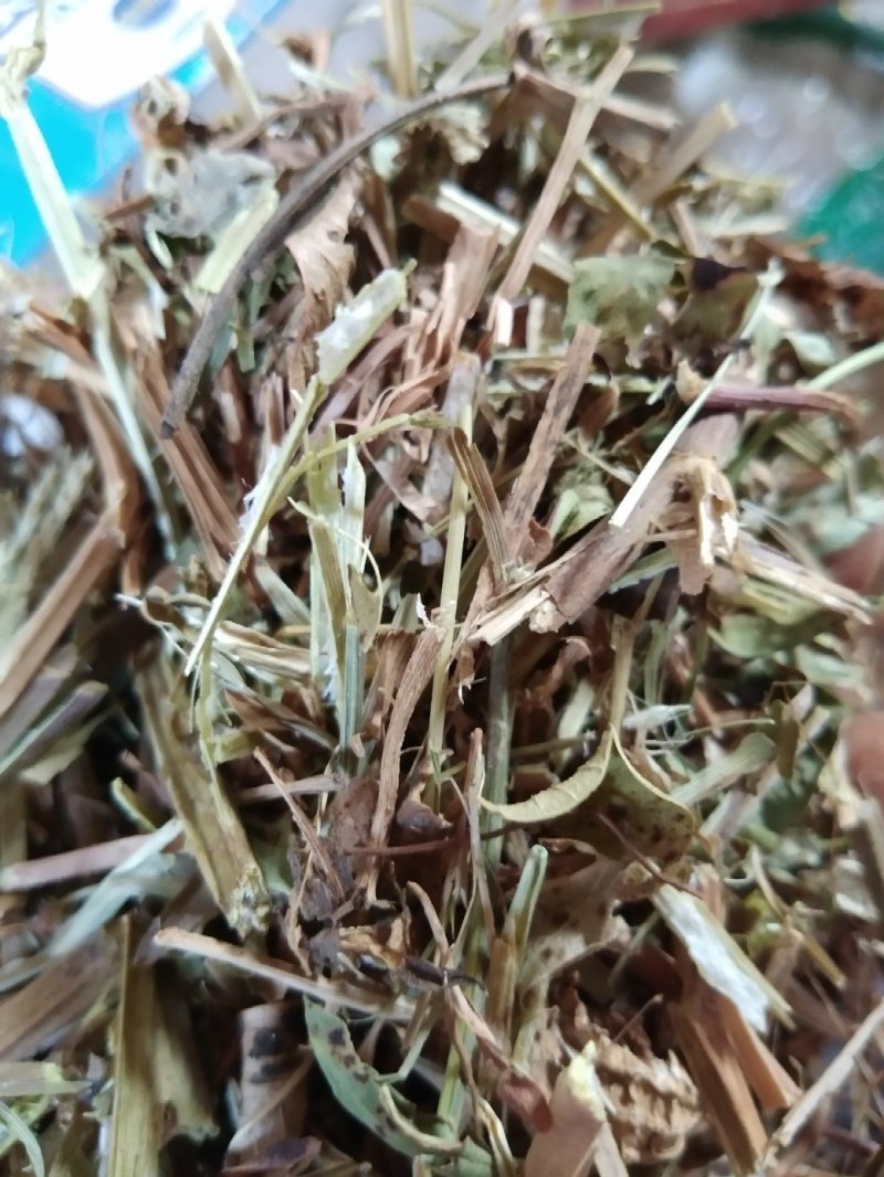 花生秧羊草细粉，1-3公分草段