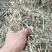 花生秧羊草细粉，1-3公分草段