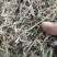 花生秧羊草细粉，1-3公分草段