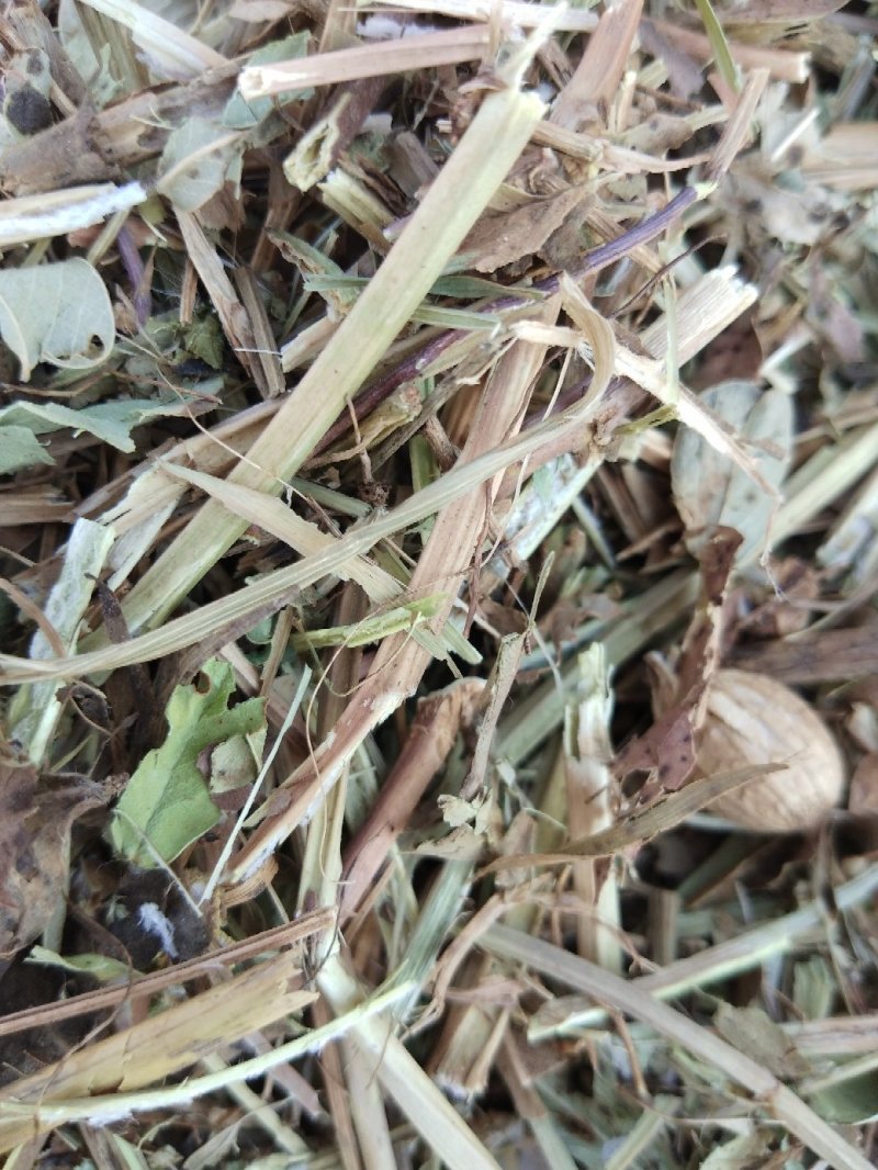 花生秧羊草细粉，1-3公分草段