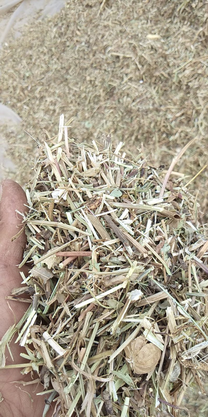 花生秧羊草细粉，1-3公分草段