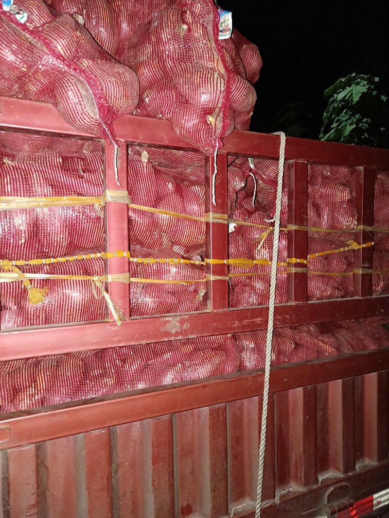 精品商暑19安徽商暑19原产地红薯干面甜产地直发一手货