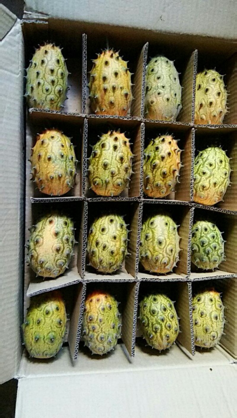 火参果(64个装)